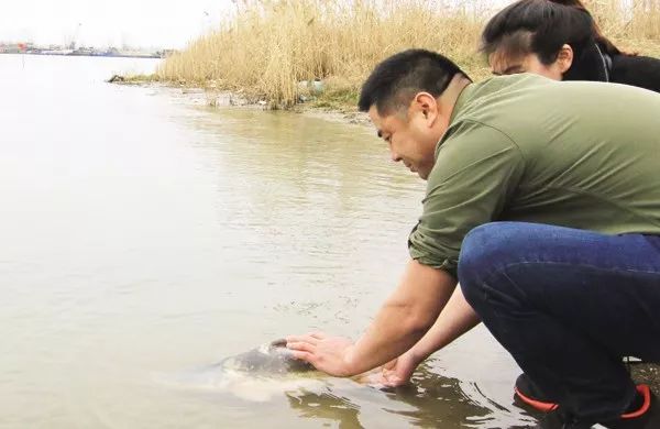 世界十大凶猛淡水鱼类,顶级淡水鱼类