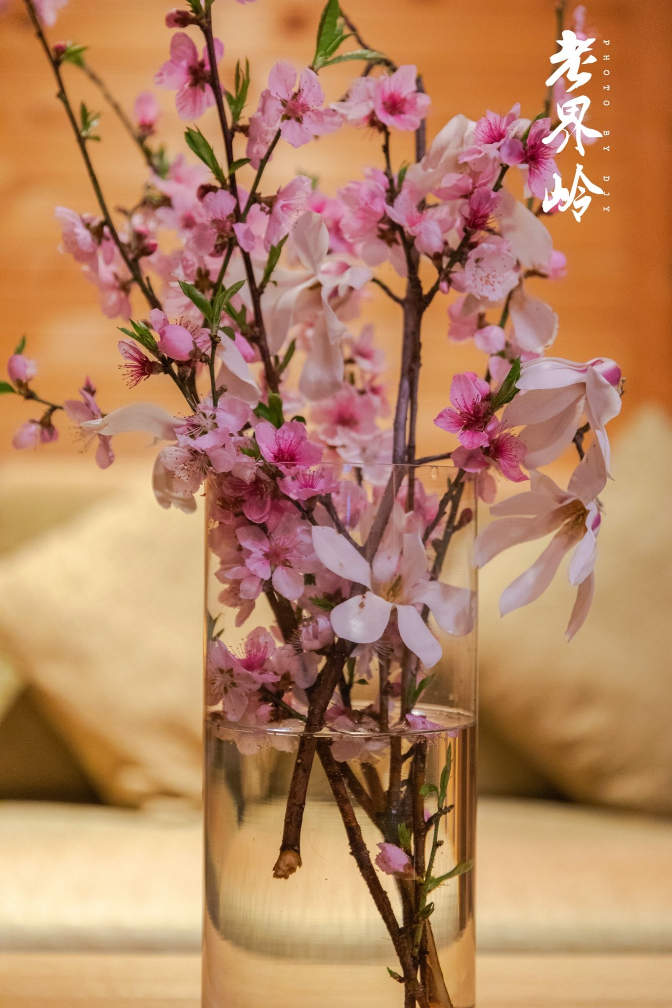 游览老界岭的感悟,河南老界岭景区