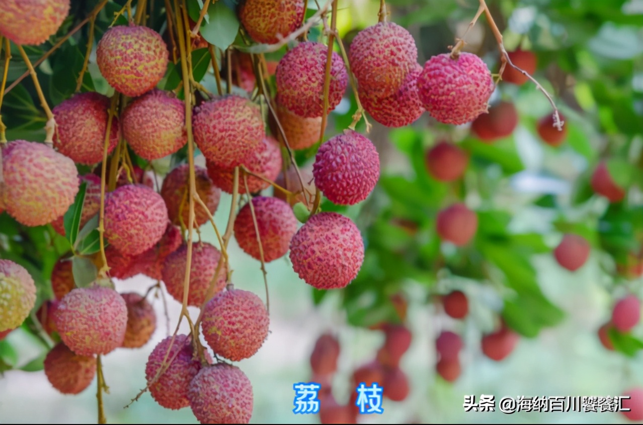 中国美食广西篇玉林肉蛋,广西玉林桂叔脆皮狗肉