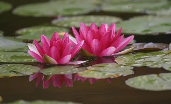 别人瞧不起你发朋友圈怎么说,瞧不起人的句子发朋友圈