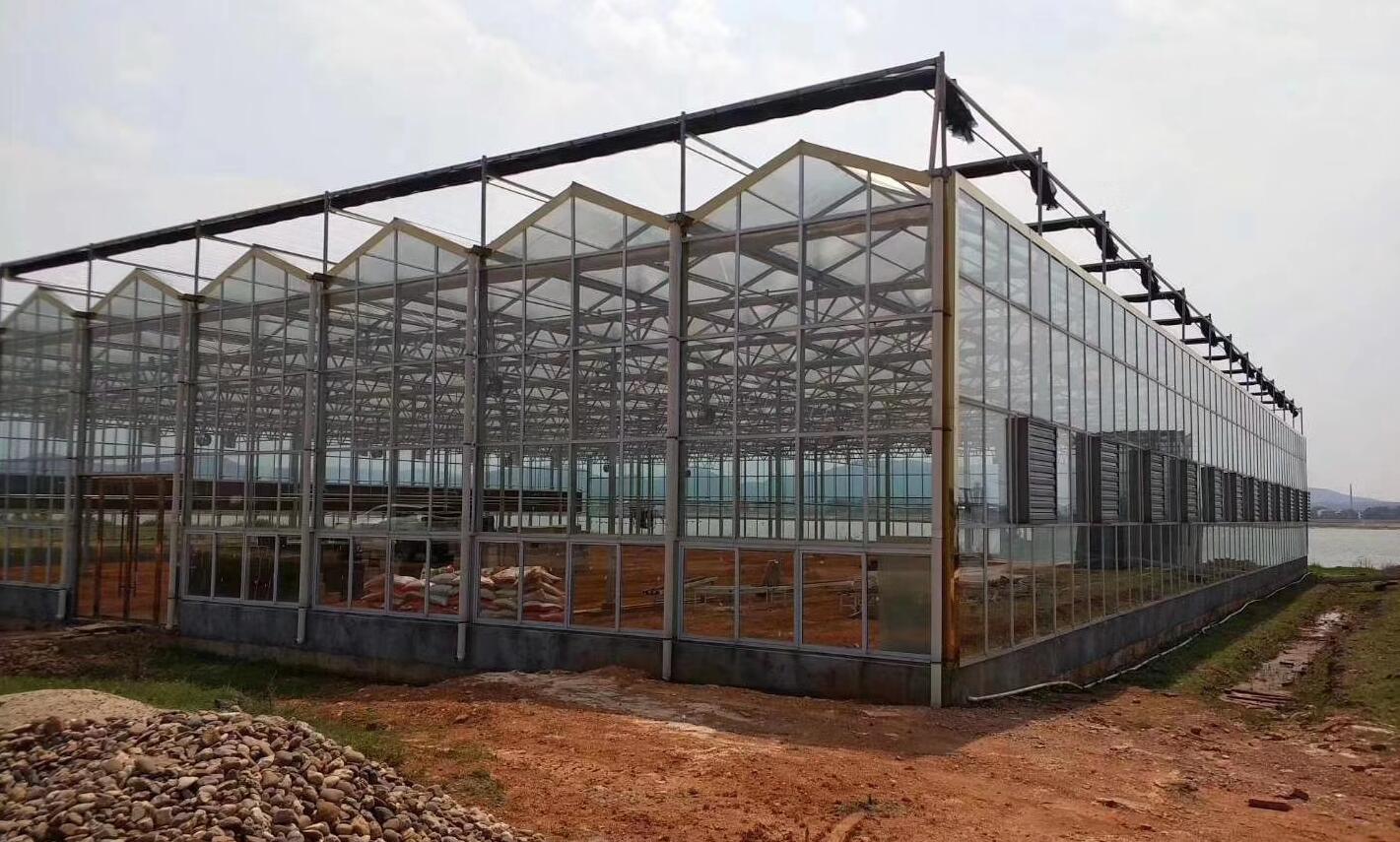 老百姓建设大棚，基础该如何做才结实、耐用，那要不要做“地勘”