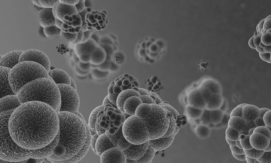 cea和ca199能查出来癌症吗,癌症检查指标ca199你了解多少