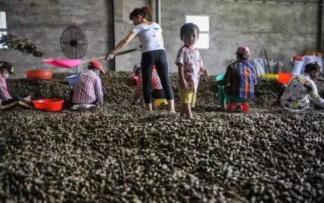 鎻湶妲熸涓庡彛鑵旂檶 (鍏充簬妲熸涓庡彛鑵旂檶鐨勫叧绯讳笌浣滅敤)