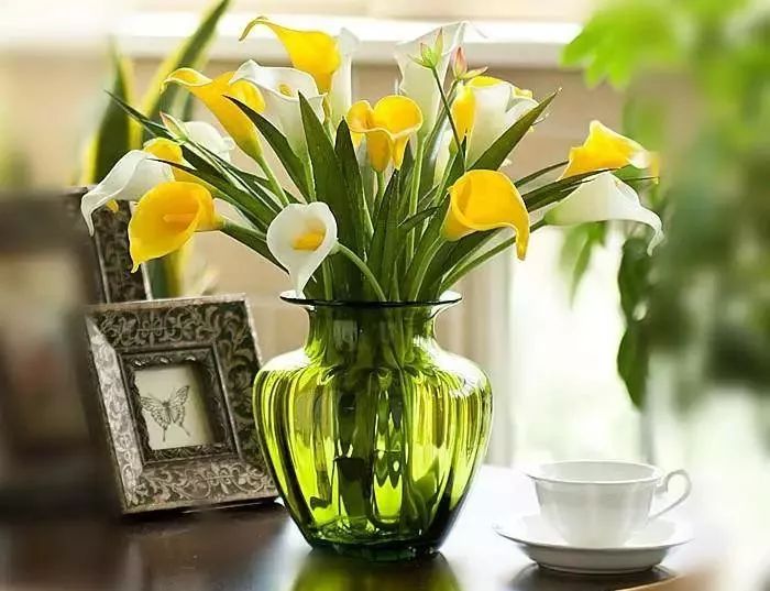 马蹄莲的种植教程,马蹄莲球根种植时间