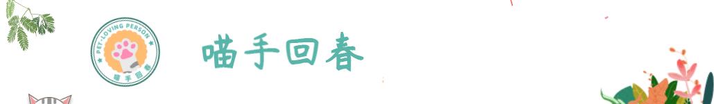 狗被咬伤怎么处理狗狗伤口,狗狗咬伤正确的处理方法