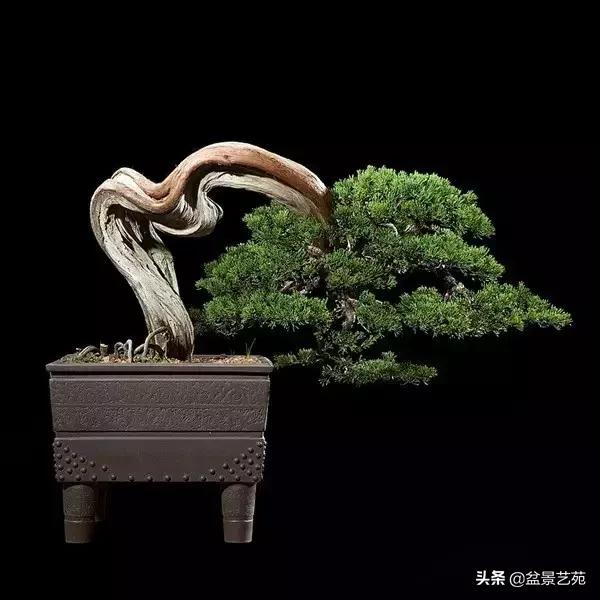 西泠印社砚台最高价拍卖记录,杭州西泠拍卖盆景