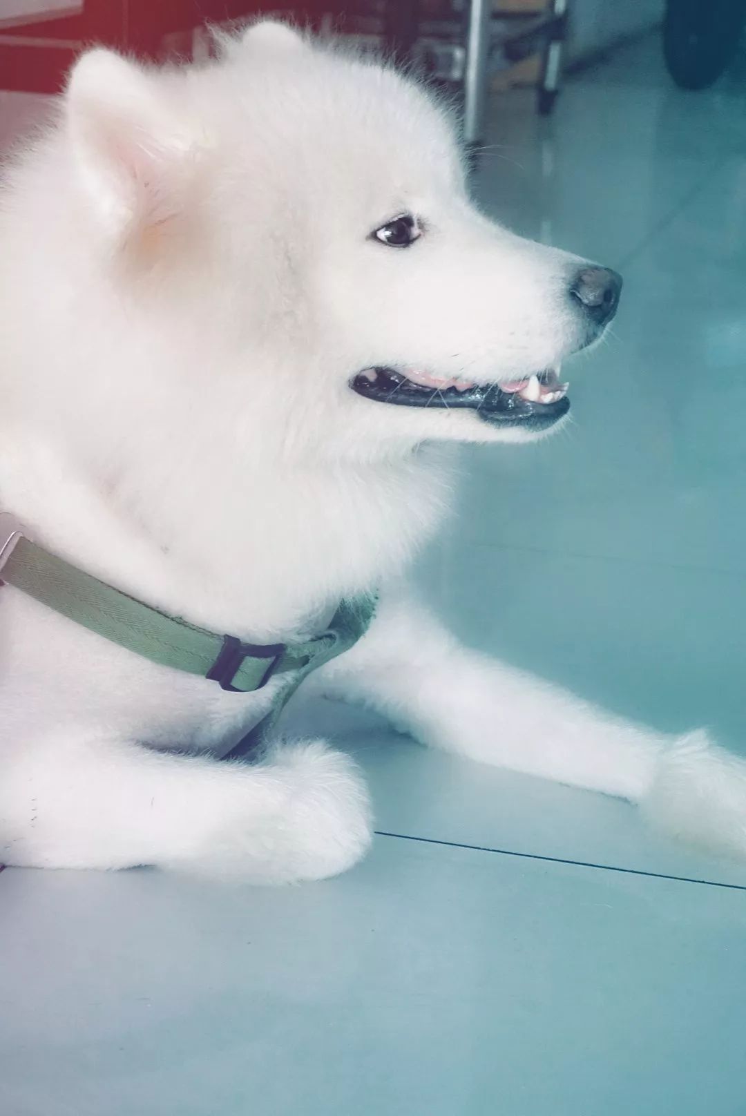 恒隆对面街店铺推荐,恒隆广场对面的甜品店