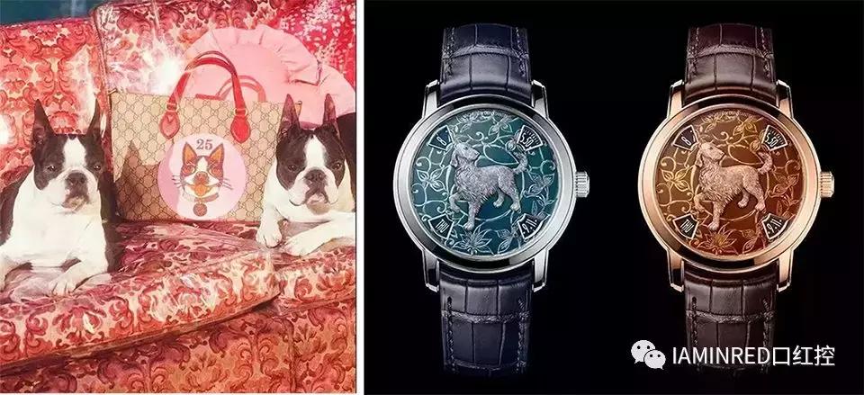 这些品牌们、求求你们放过猪吧！