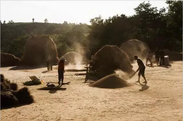 我们曾经放过的麦假