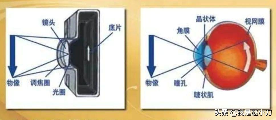 老花眼眼药水正确滴法,哪种眼药水适合老花眼