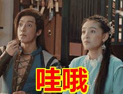 CELINE,纪梵希大量管培岗开放,不限专业,应届起薪20W+速投