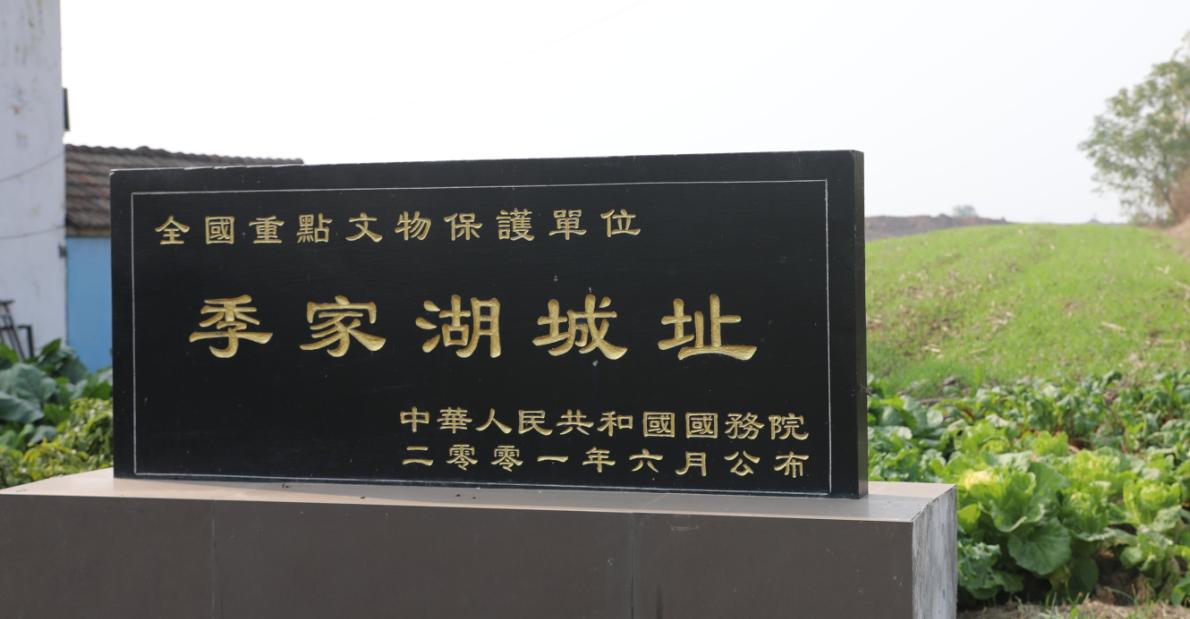 文化视野深度解析,文化视野下的文化视野