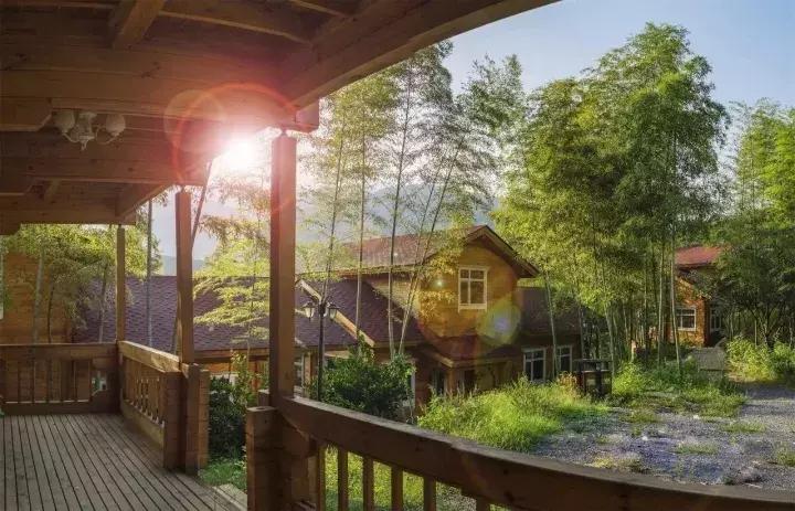 央视挖出来浙江冷门小城，小小鸭头都是世间绝味，人均100+住别墅