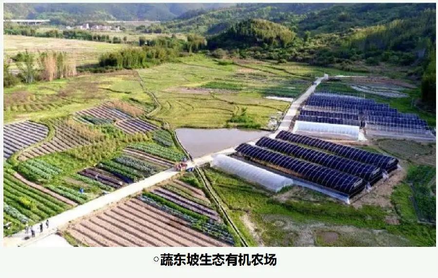 韶关云天海温泉推荐,韶关新丰云天海温泉酒店介绍