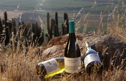 智利干露酒庄红魔鬼系列,智利干露酒庄佳美娜