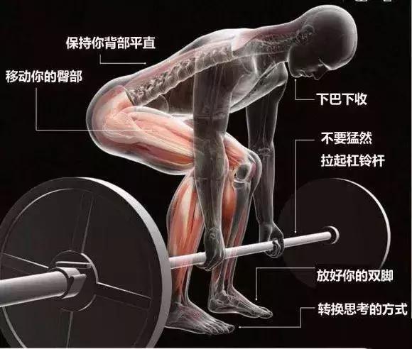 硬拉常见的3个误区避免受伤,硬拉怎么避免受伤