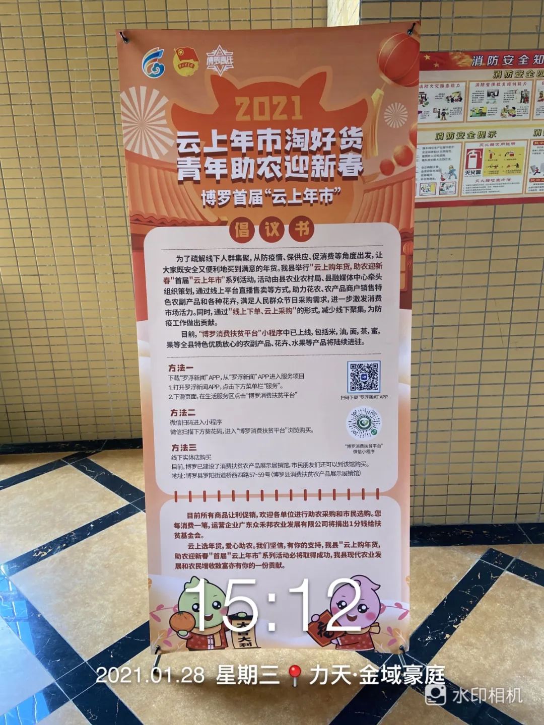 青年助农志愿服务队,青年志愿者协会助力乡村振兴