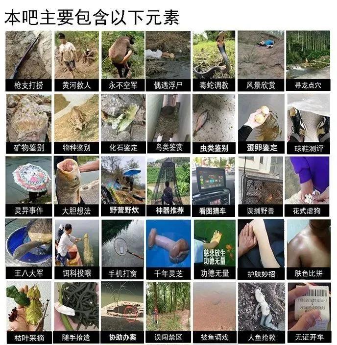 贴吧里的奇葩帖子,贴吧奇葩问题