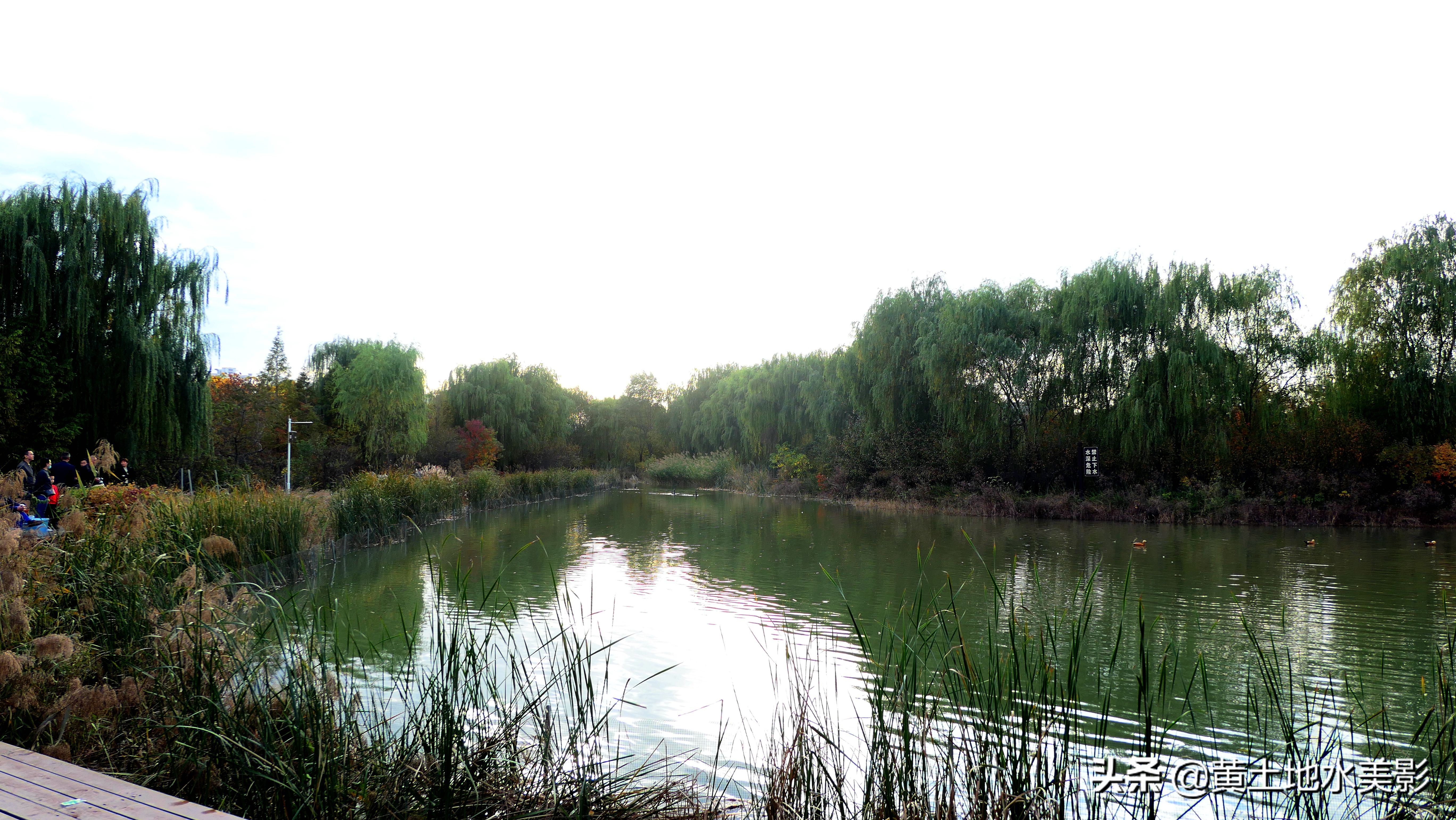 占地590亩的湿地公园,野生动物比较多的旅游景区