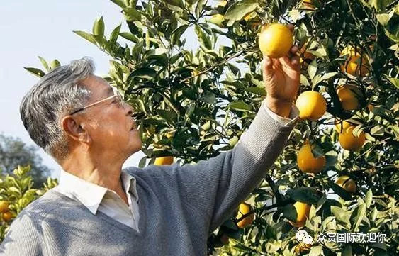 褚时健的人生总有起落,褚时健人生终有起落