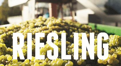 雷司令1987,雷司令588岁生日酒会