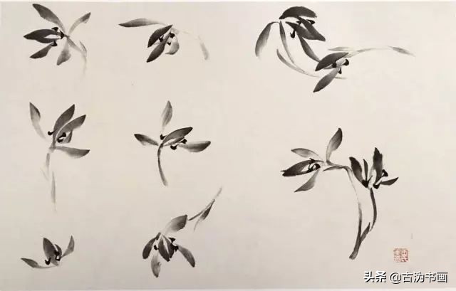 国画兰花技法讲解视频,徐湛国画兰花技法教学