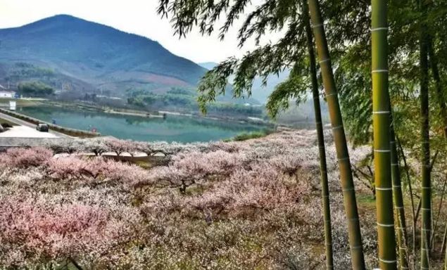 绳命是如此的精彩！网红僧人延参法师为宜兴春游踏青打call！