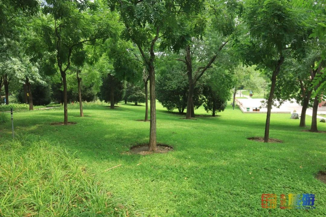 免费！市区就有“小森林”，花海芳香扑鼻！还有美好的祝福送给你