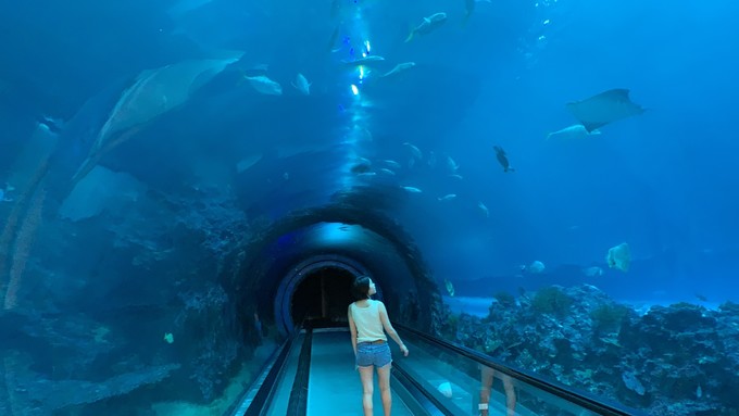 台湾环岛8日自由行详细攻略,台湾环岛游自由行攻略大全