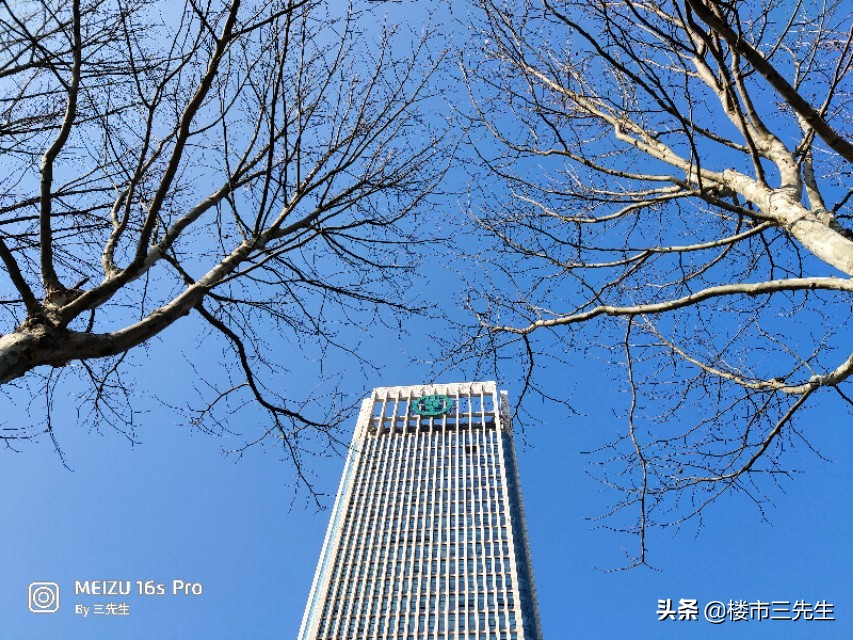 生活5年，我眼中的滨湖比你道听途说的更真实有料，让你豁然开朗