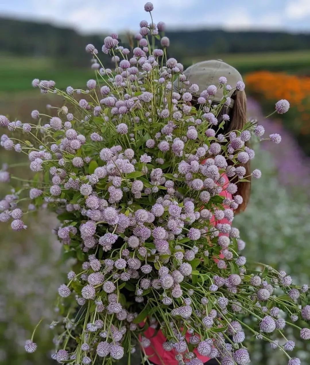 鲜花店日常换水整理花材,花要不要经常换水