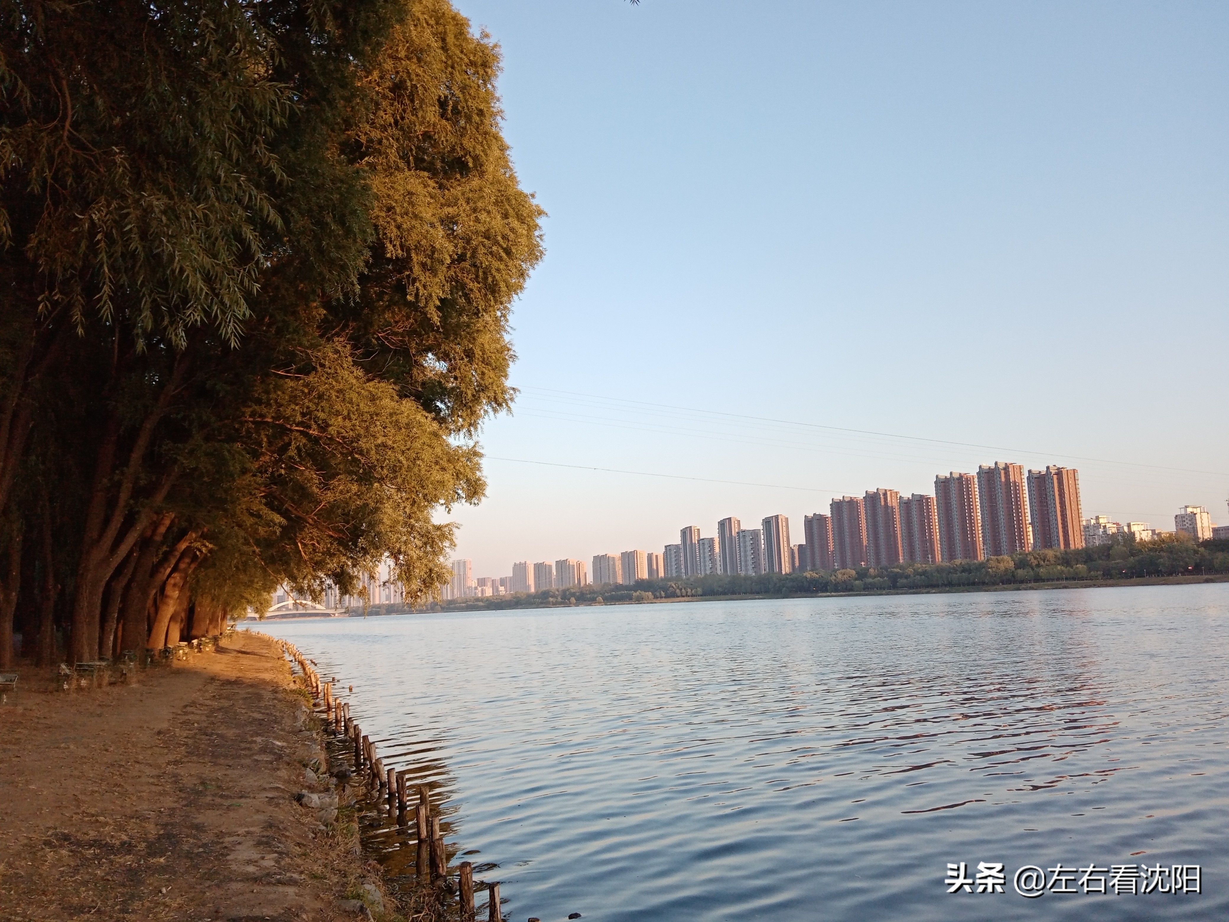 沈阳五里河公园攻略,沈阳五里河公园现在开吗