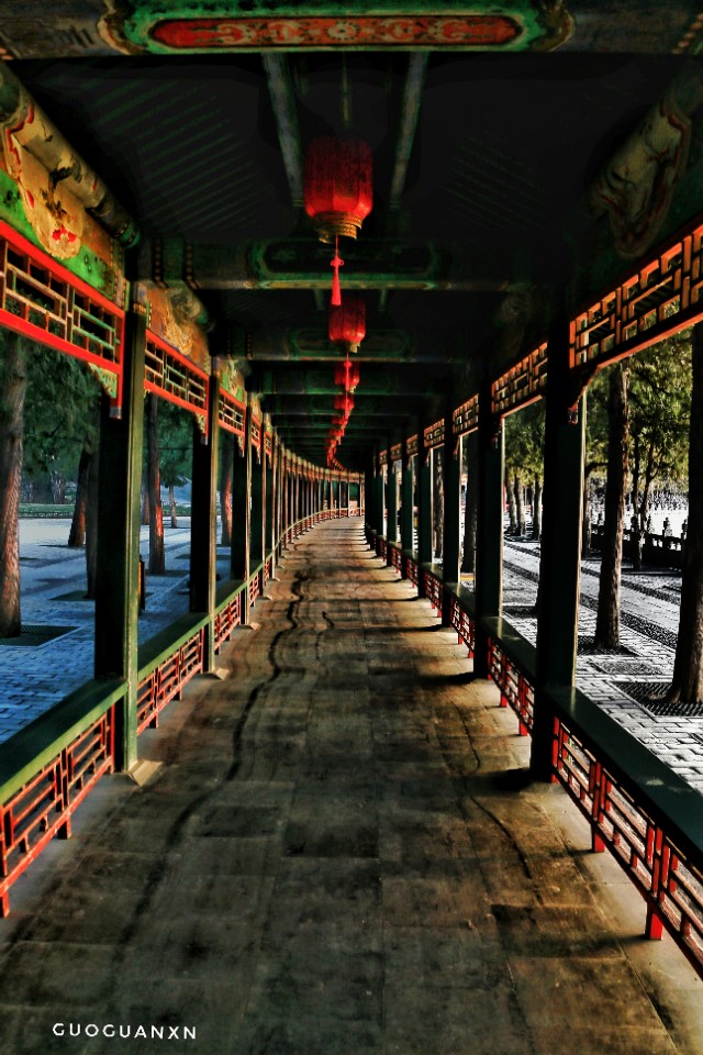 《晨辉情未了，光影长廊再写意》