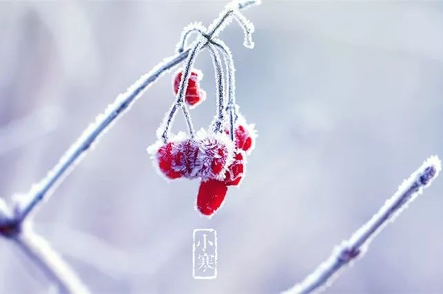 今日小寒｜轻舞一曲送冬雪，万家灯里待春风