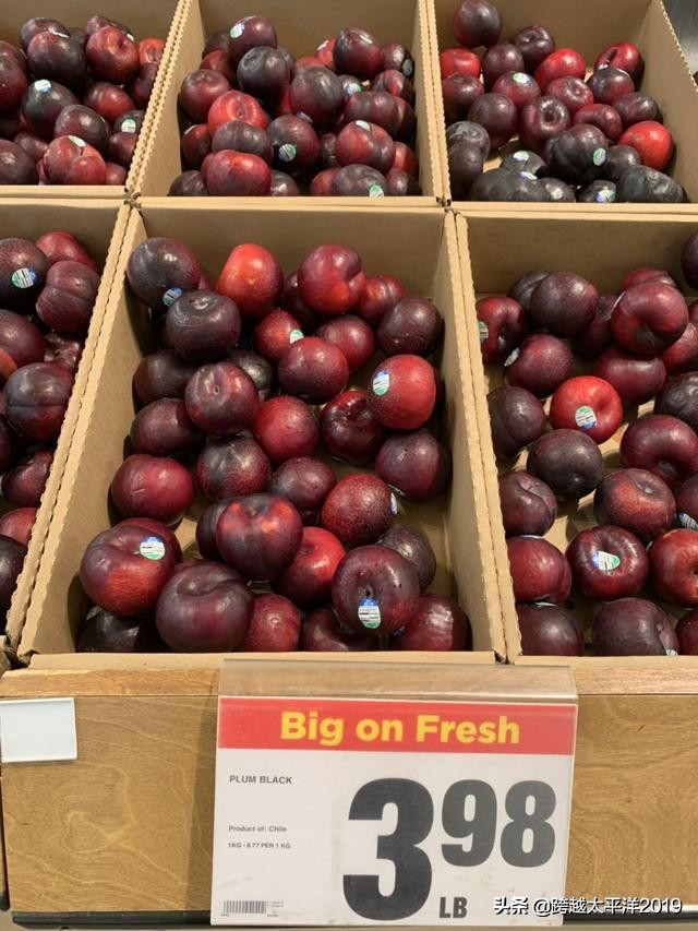 加拿大超市购物必买 (加拿大多伦多costco购物必买)