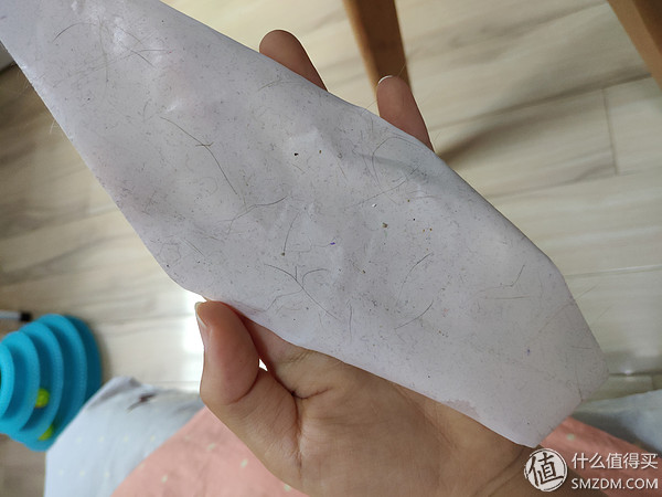 养猫必备的清洁猫毛工具,清洗猫毛的正确方法