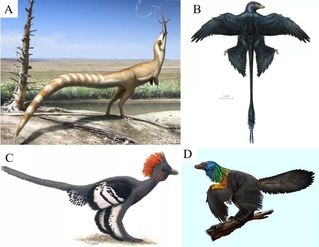 赛先生访谈,赛先生美国