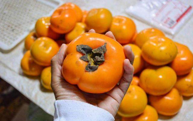 为什么吃柿子会有那么多不适,柿子吃多了会胃寒反胃吗