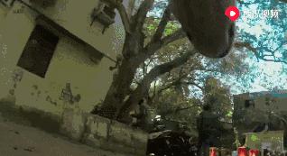 流浪狗狗遇到爱它的主人,流浪狗需要被疼爱