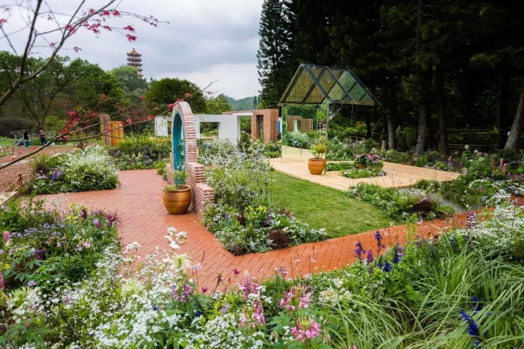 未来10天预警,深圳最最最最火的地方在这里,美女都赶来打卡