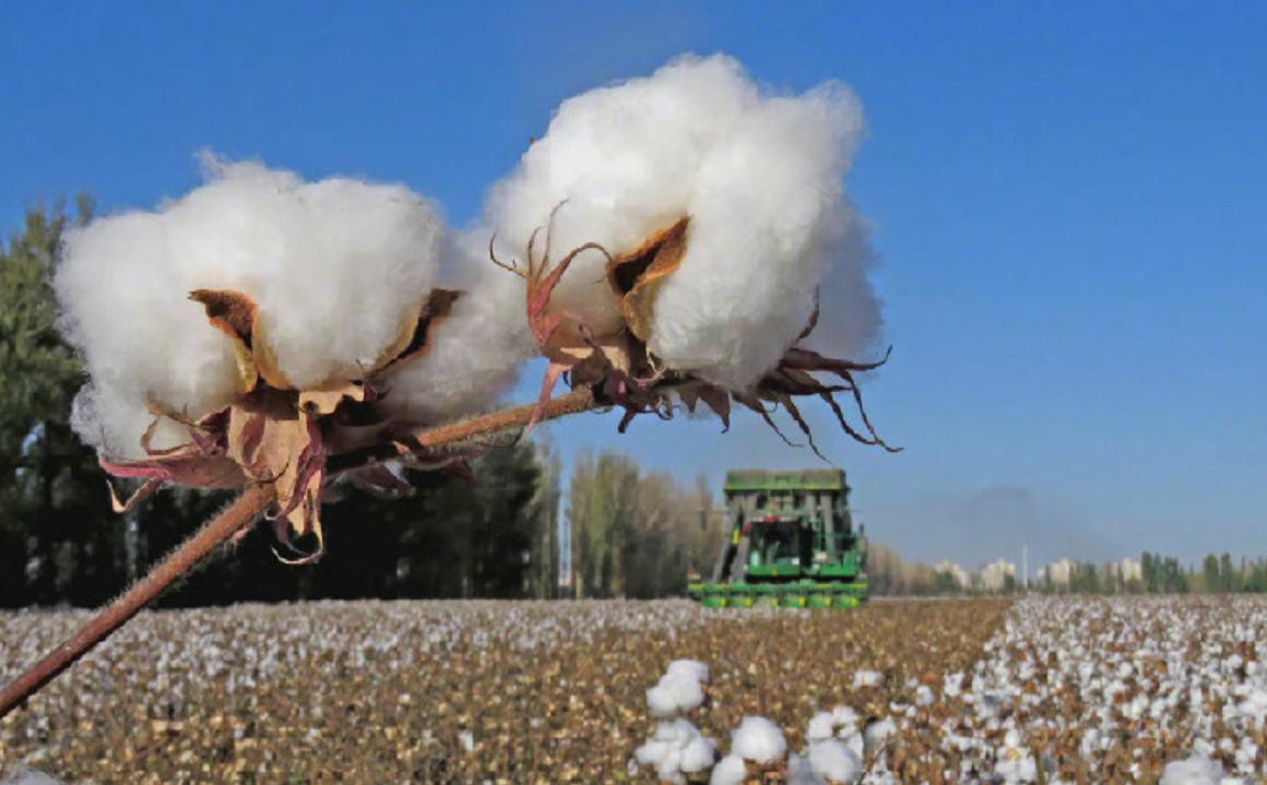 新疆一商场关闭hm门店,新疆商场回应关hm门店