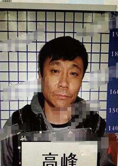 足球浪子高峰和那英,高峰那英足球