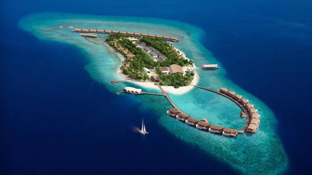 珊瑚是腔肠动物还是植物,珊瑚是植物还是动物还是礁石