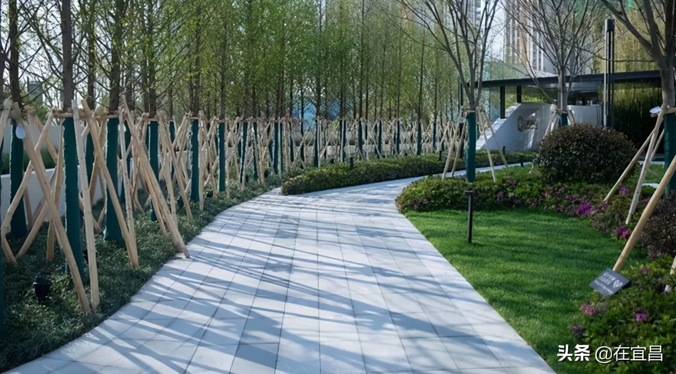 牛!这样的伍家岗,你怎能不爱