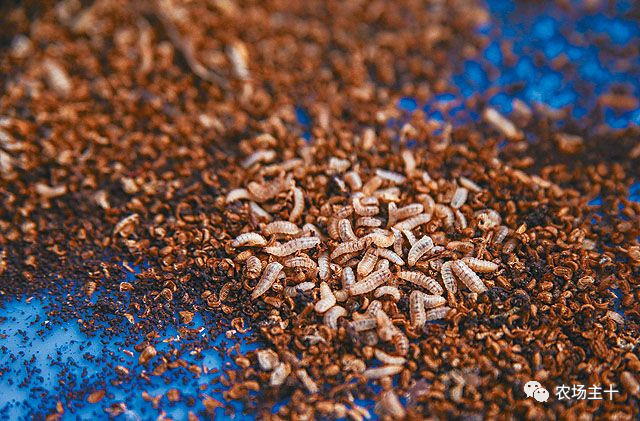 从乞丐到身价200万仅用一年时间,从乞讨到名相的传奇人生