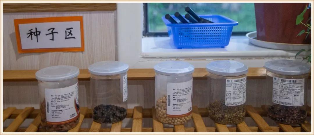 大班新学期环境创设实施方案,大大的小小的主题活动及环境创设