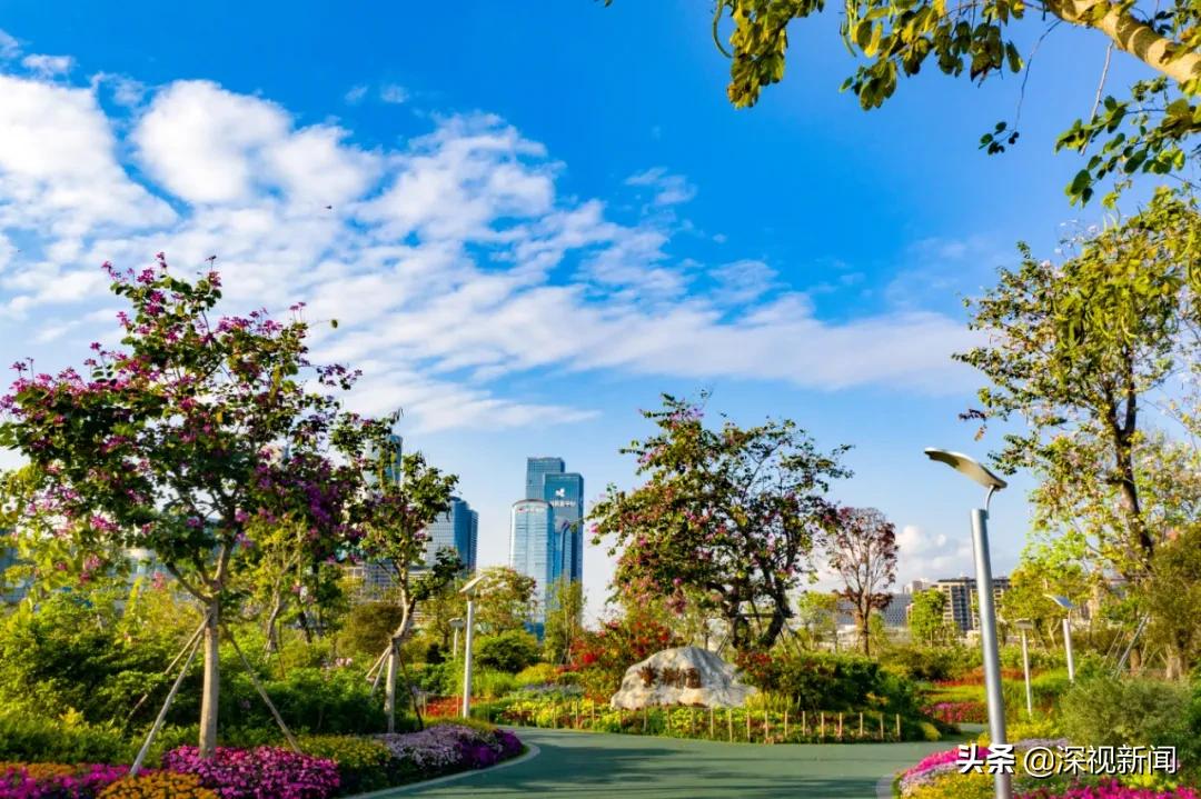 这就是幸福日本歌曲,这里是幸福拉萨