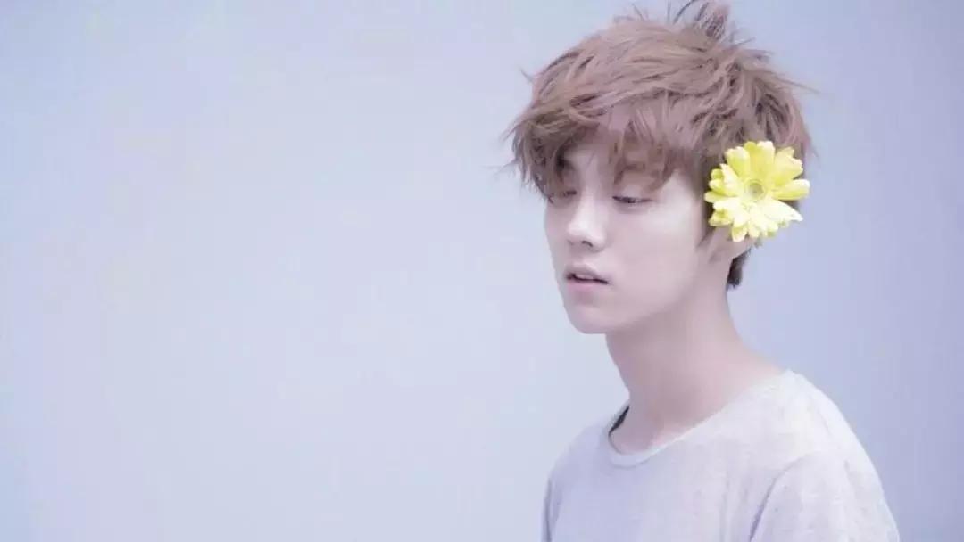 鹿晗参加跑男时退出exo了吗,黄旭熙鹿晗综艺节目