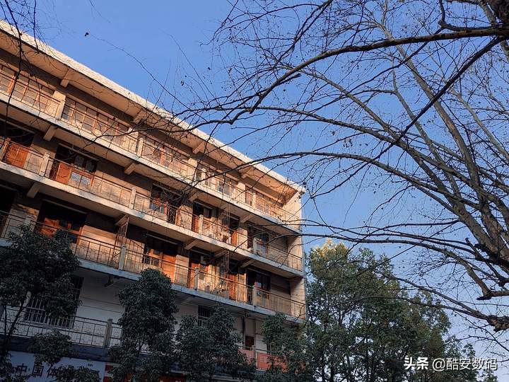 小米10年之作,小米十周年全篇