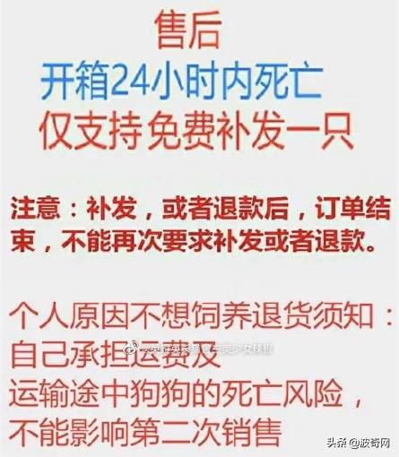 活体宠物塞入“盲盒”，拆开后是狗狗尸体！卖家：玩不起别买